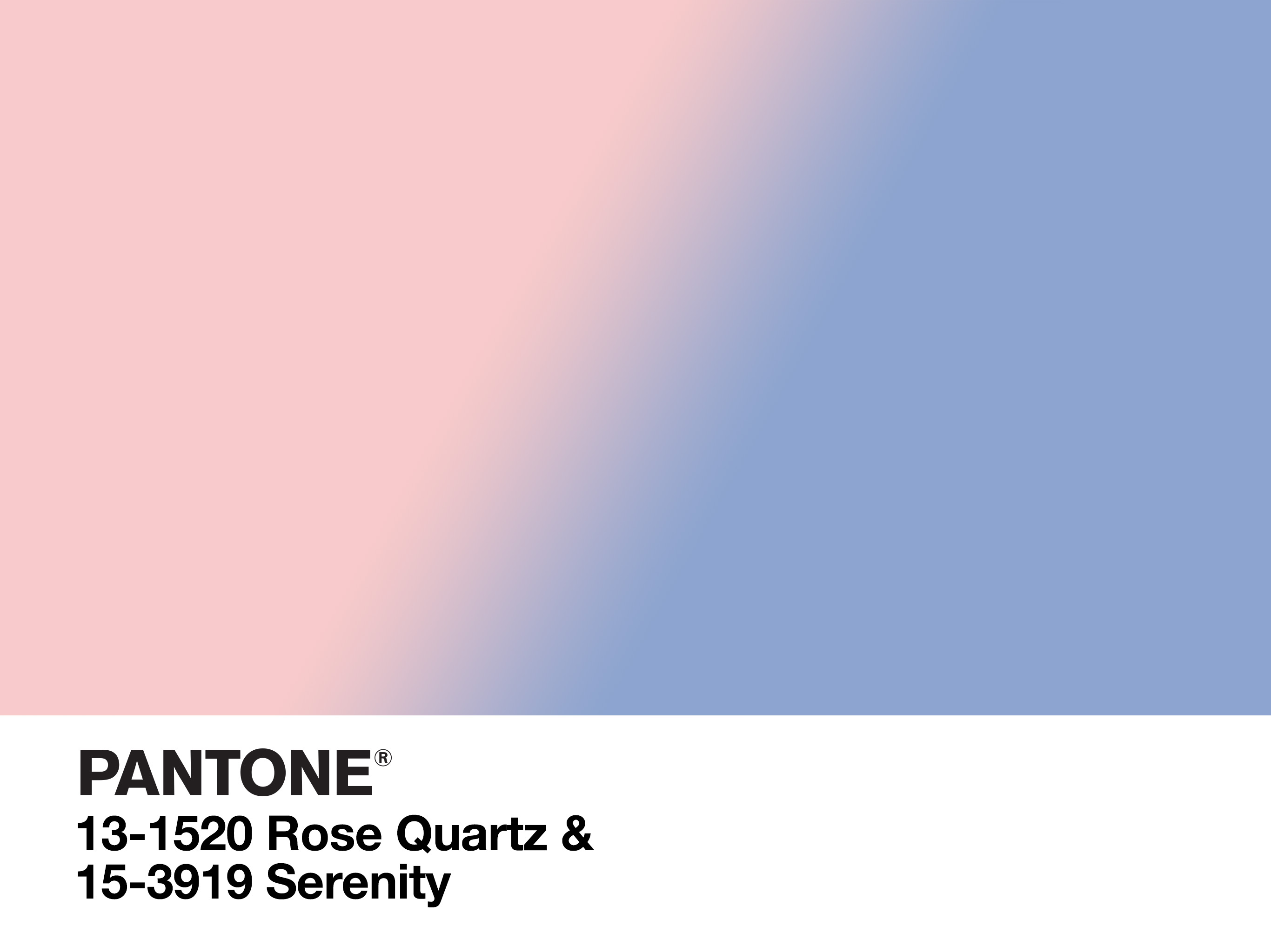 pantone-color-of-the-year-2016-v5-2732x2048